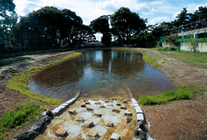 125周年で創られたビオトープ池